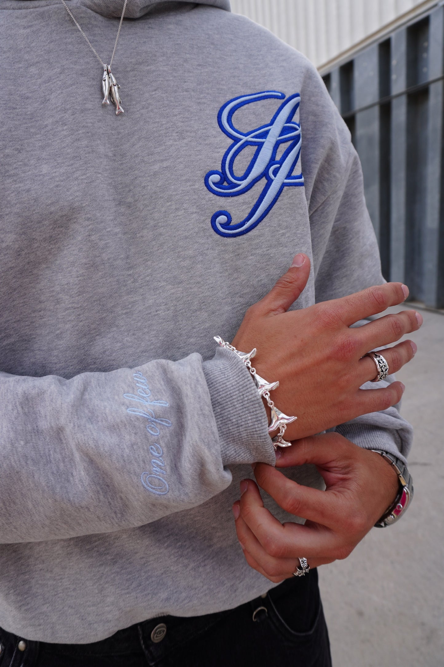 GREY PEGASUS HOODIE