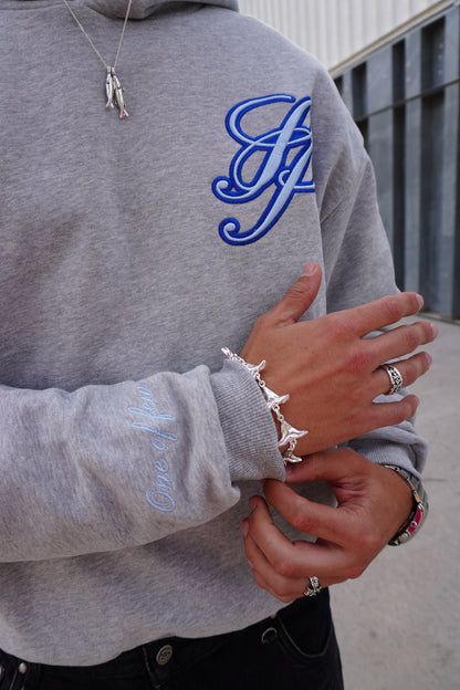 GREY PEGASUS HOODIE
