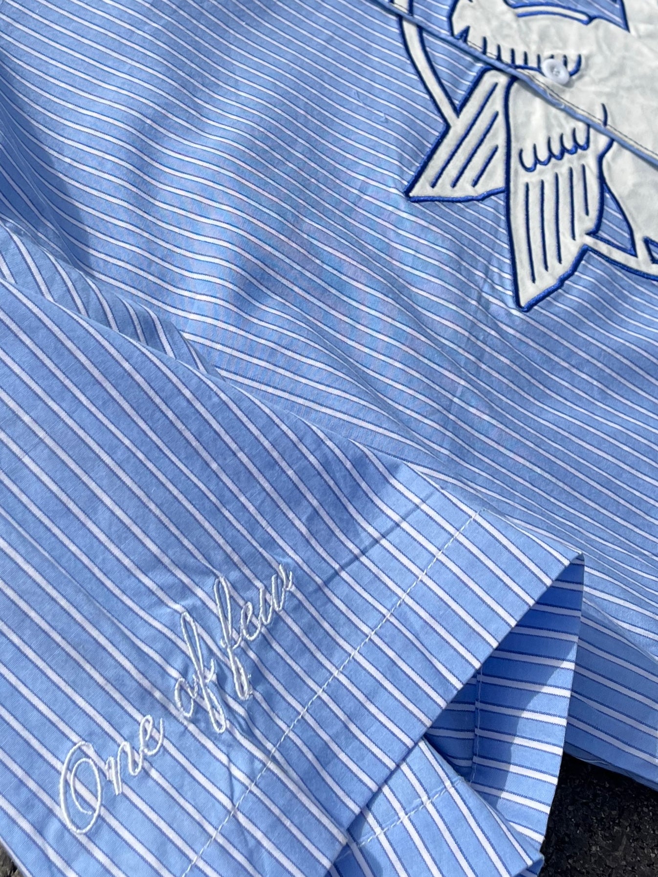 WINGSPAN AZUL